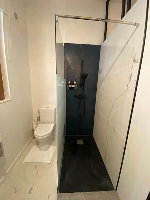 Superbe Studio De Charme Apartment Tourrette-Levens Luaran gambar